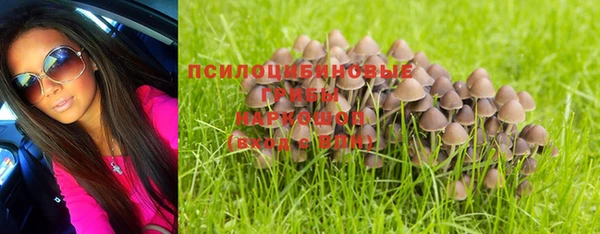 круглые Алексеевка