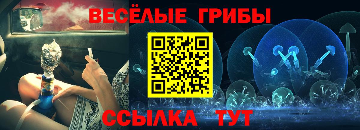 Галлюциногенные грибы прущие грибы Южноуральск