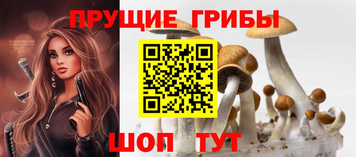 Галлюциногенные грибы GOLDEN TEACHER  Псилоцибиновые грибы мухоморы  Южноуральск  Вход с VPN 